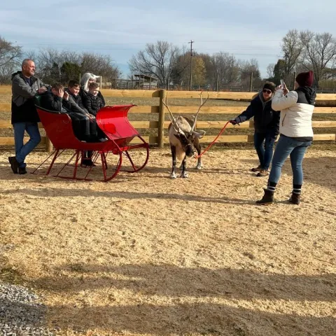 a group of people riding on the back of a horse