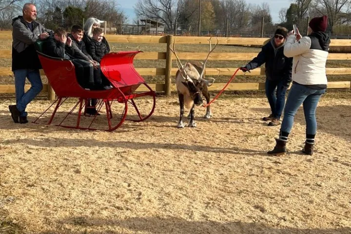 a group of people riding on the back of a horse