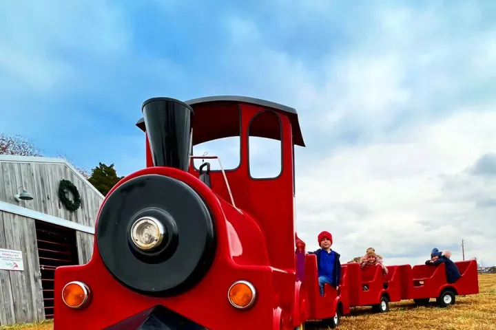 a train sitting on top of a grass covered field