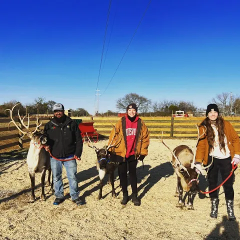a group of people standing next to a horse
