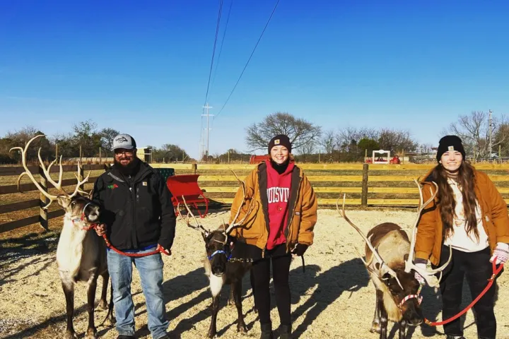 a group of people standing next to a horse