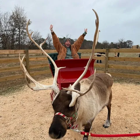 a dog standing on top of a dirt field
