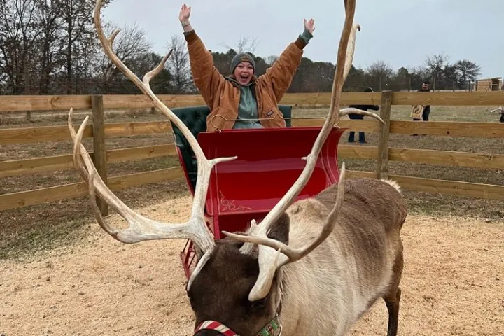a dog standing on top of a dirt field
