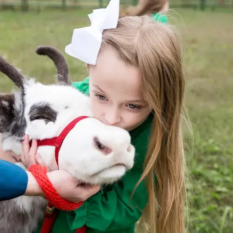 a close up of a person wearing a costume