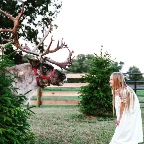 a girl standing in front of a tree
