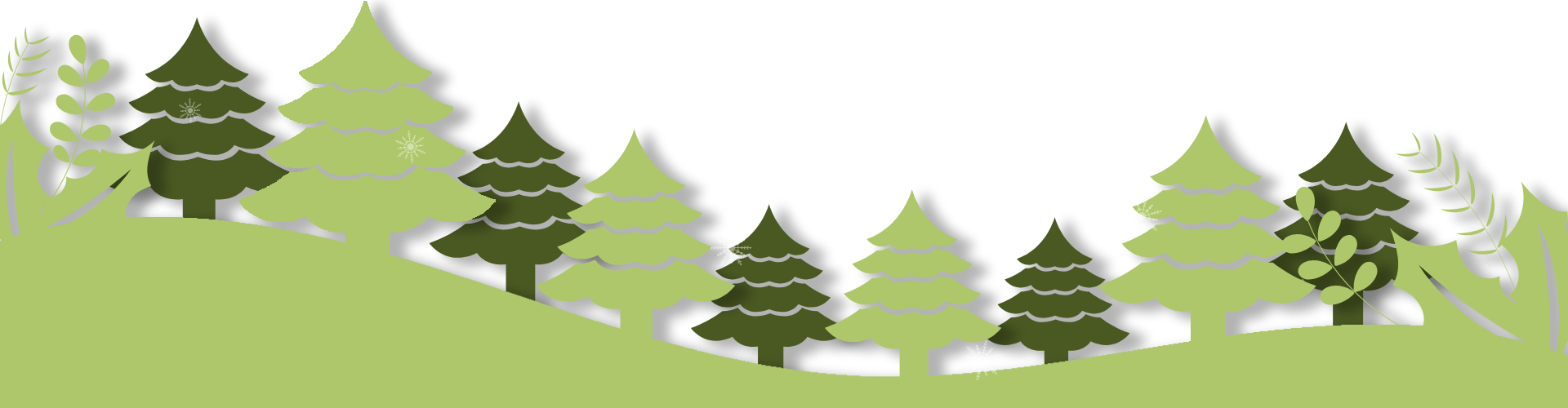 a person with collar shirt