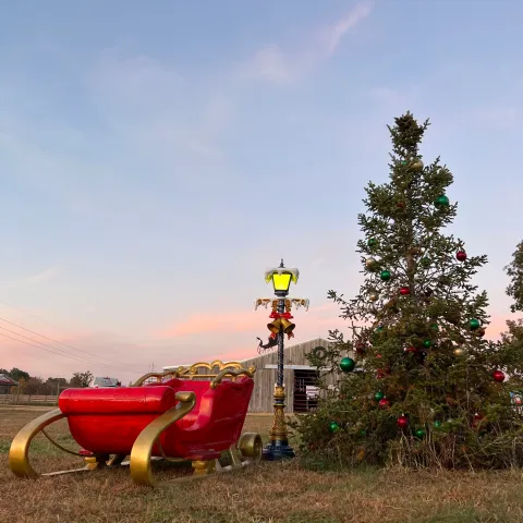 a motorcycle that is sitting in the grass