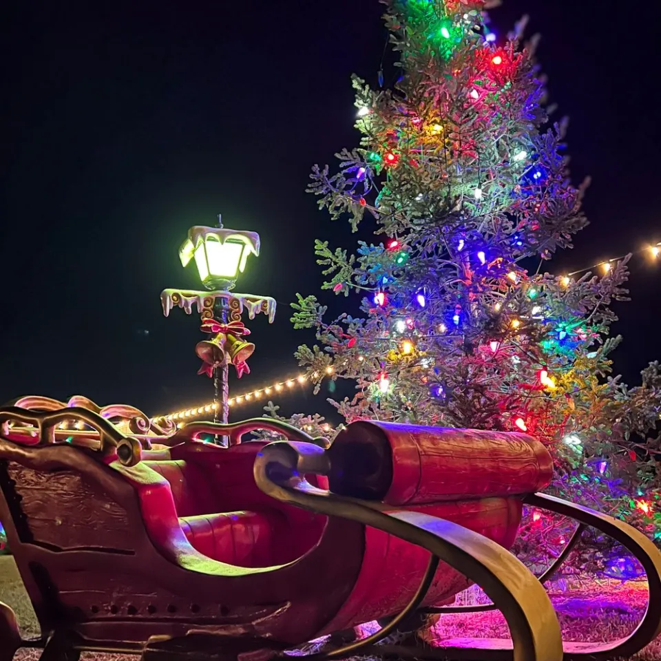 Festive sleigh and Christmas tree with colorful lights at night beside a lit lamppost.