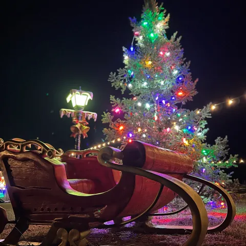 Festive sleigh and lit Christmas tree with colorful lights at night.