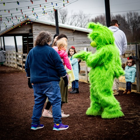 Person in a green fur costume greets children at a farm with strings of lights.