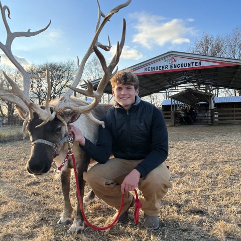 Person crouching beside a reindeer in a field, with a 'REINDEER ENCOUNTER' sign in the background.