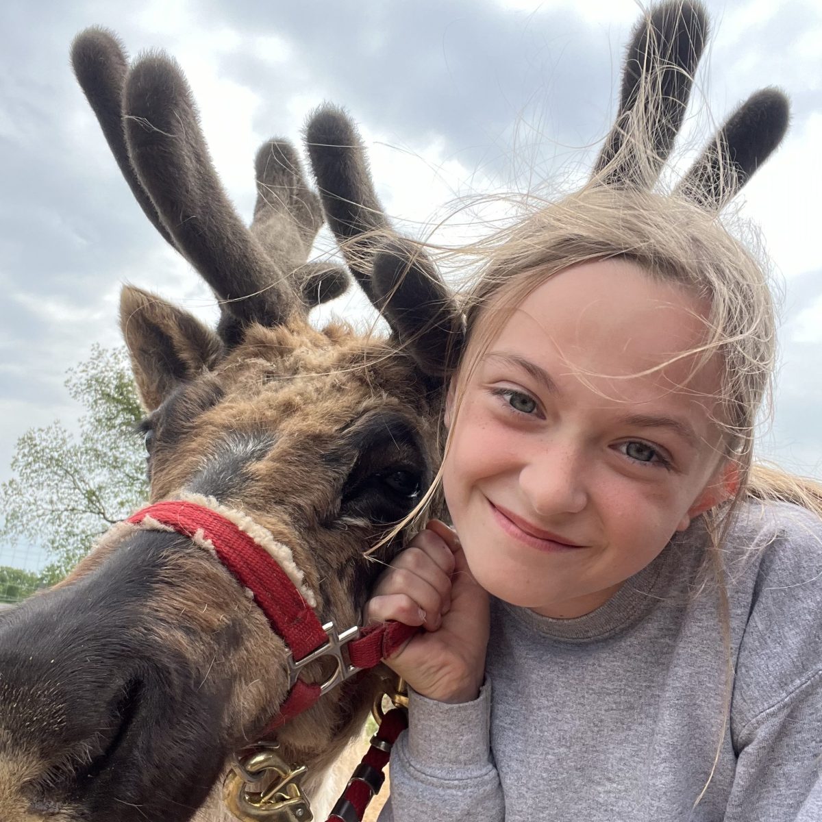 Smiling girl with reindeer, both looking at camera.