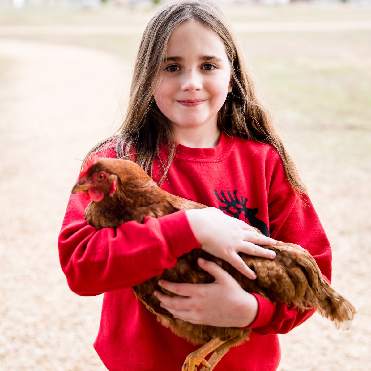 Girl in red sweater holding a brown chicken outdoors.