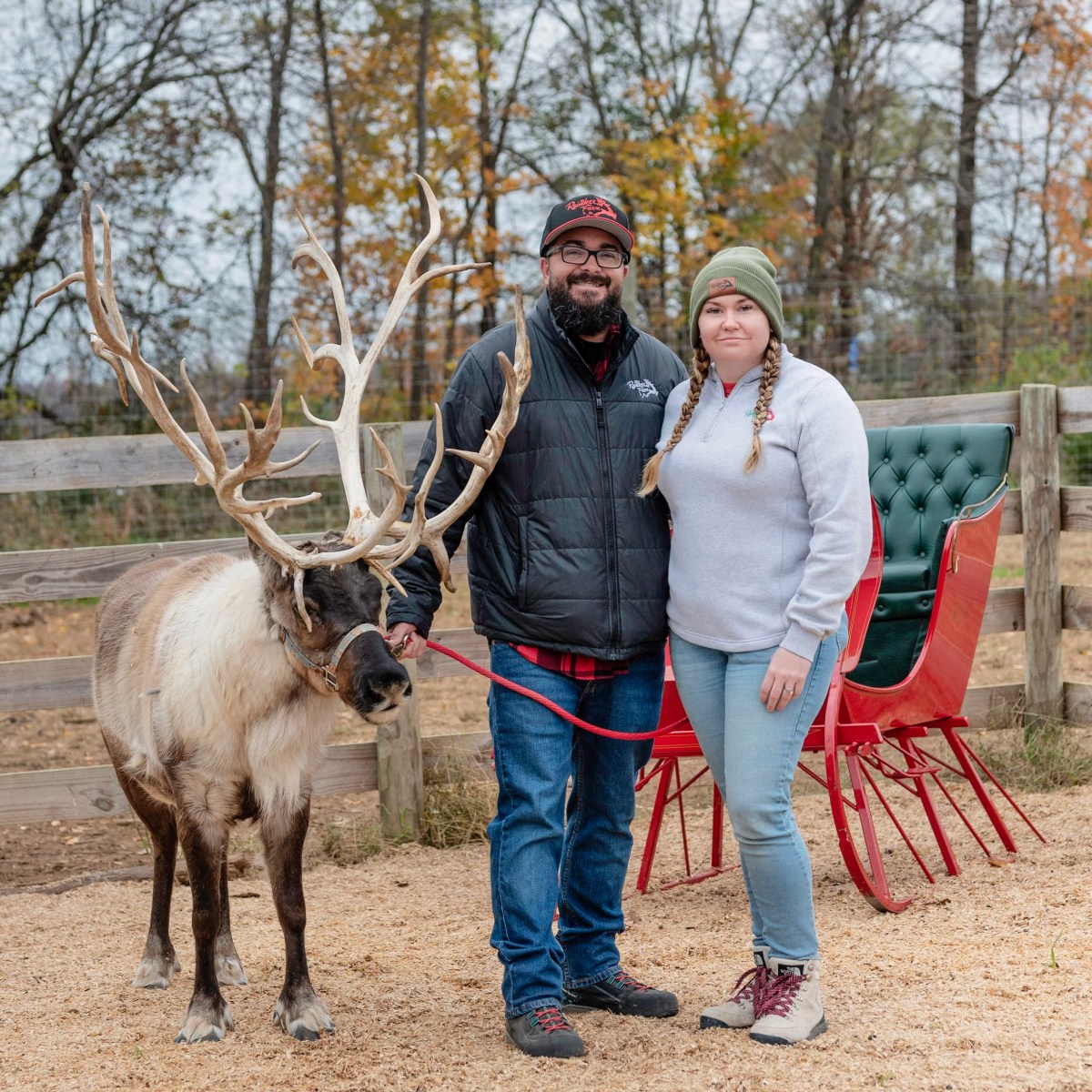 Two people standing with a reindeer beside a red sleigh outside.